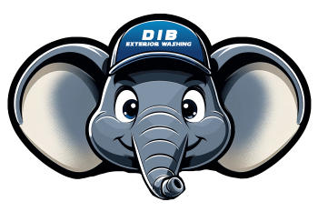 DIB Exterior-Washing Logo