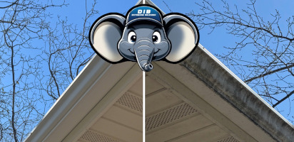 Gutter cleaning home
