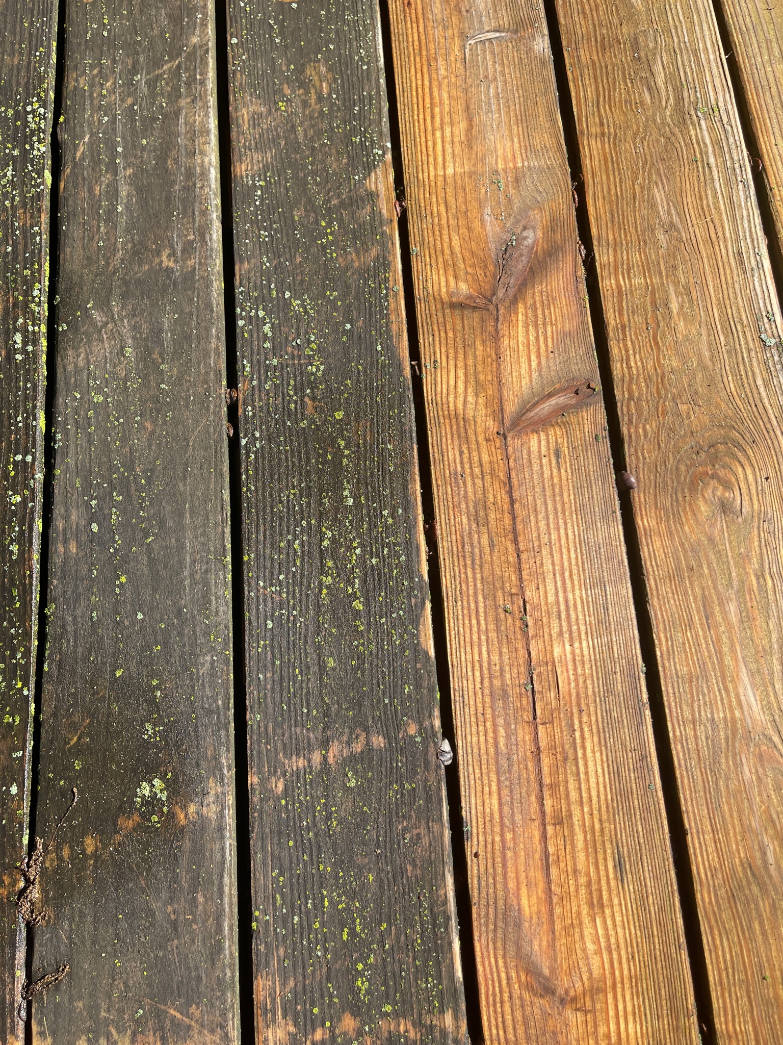 Professional Deck Washing in Springfield, MO 