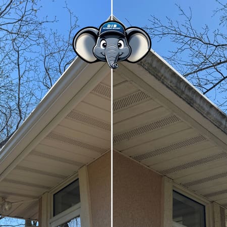 Gutter cleaning brightening new